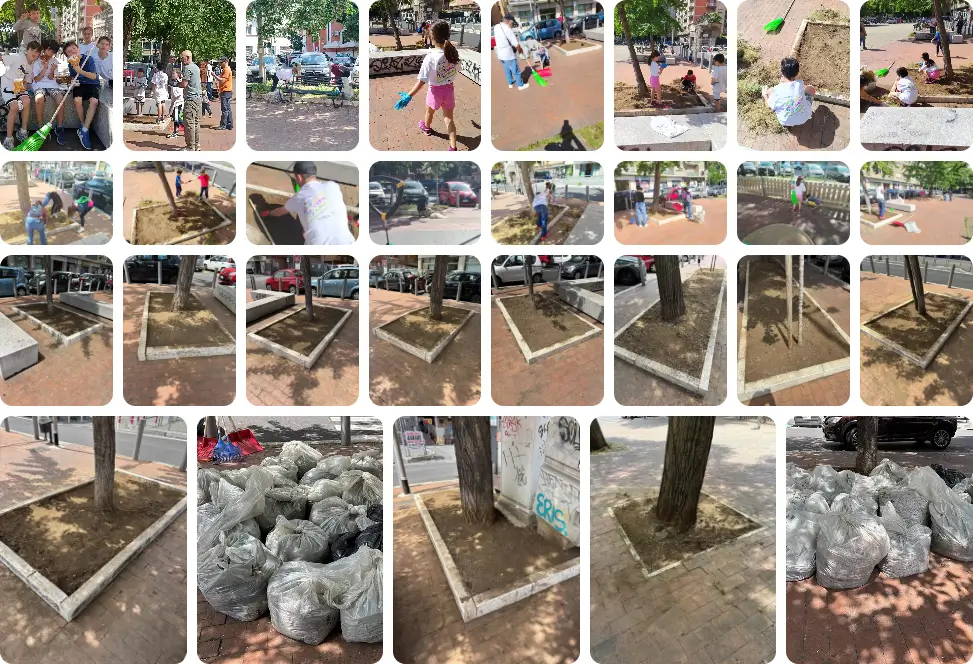 9 maggio 2026 Roma Cura Roma - pulizia piazza aiuole alberi Piazza Margherita Hack, largo Ettore Rolli, Porta Portese, Trastevere, Roma