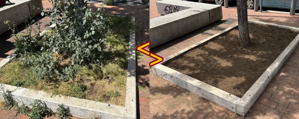 9 maggio 2026 Roma Cura Roma - pulizia piazza aiuole alberi Piazza Margherita Hack, largo Ettore Rolli, Porta Portese, Trastevere, Roma
